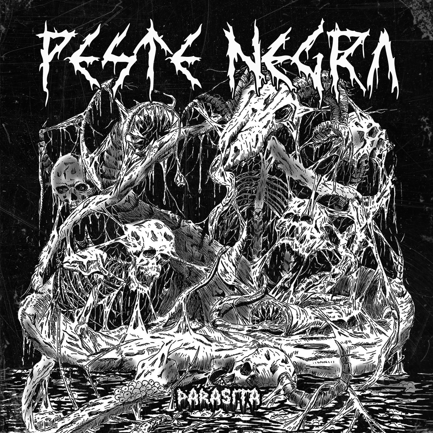 capa_cover parasita