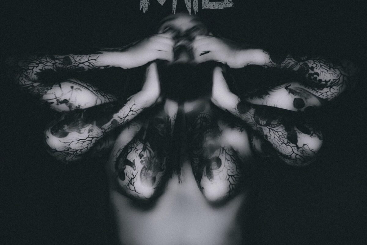 Fonte – “Medomorfose”