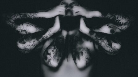 Fonte – “Medomorfose”