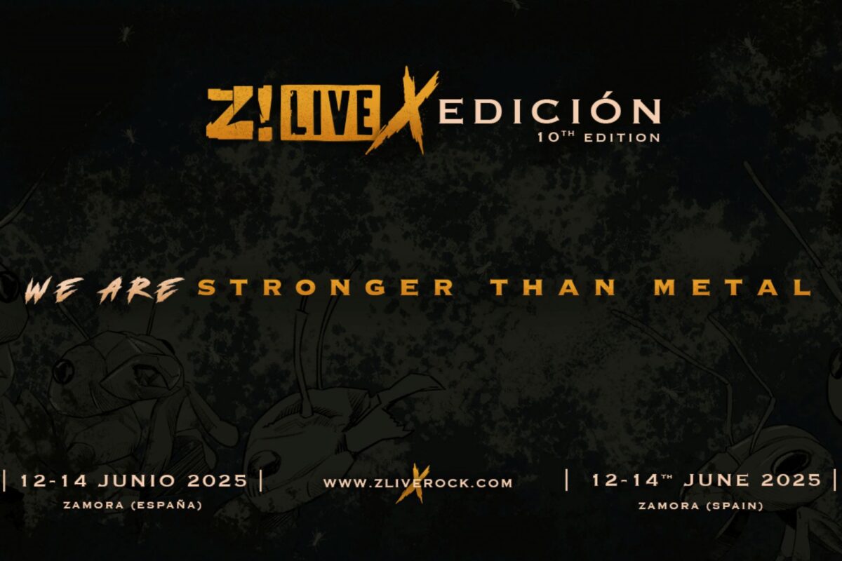 Z! Live: cartaz final