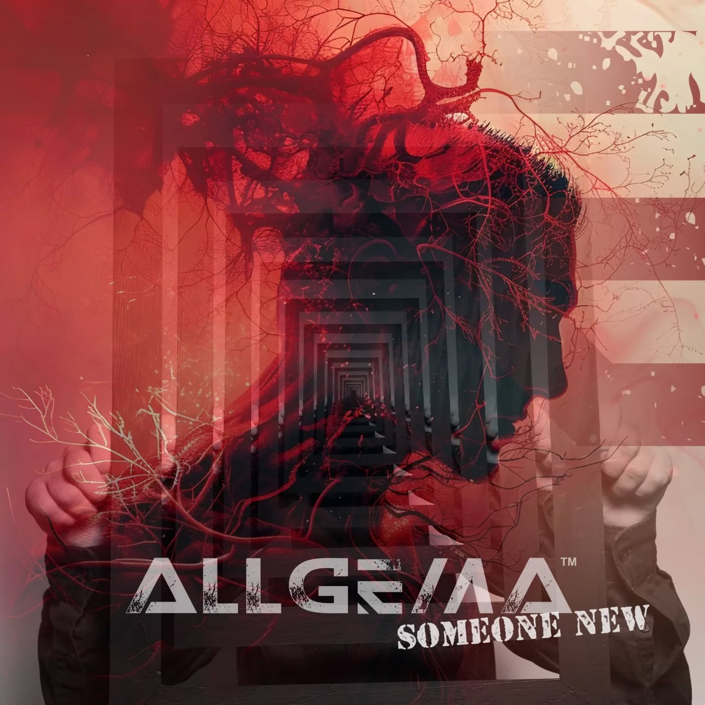 allgema single someone new